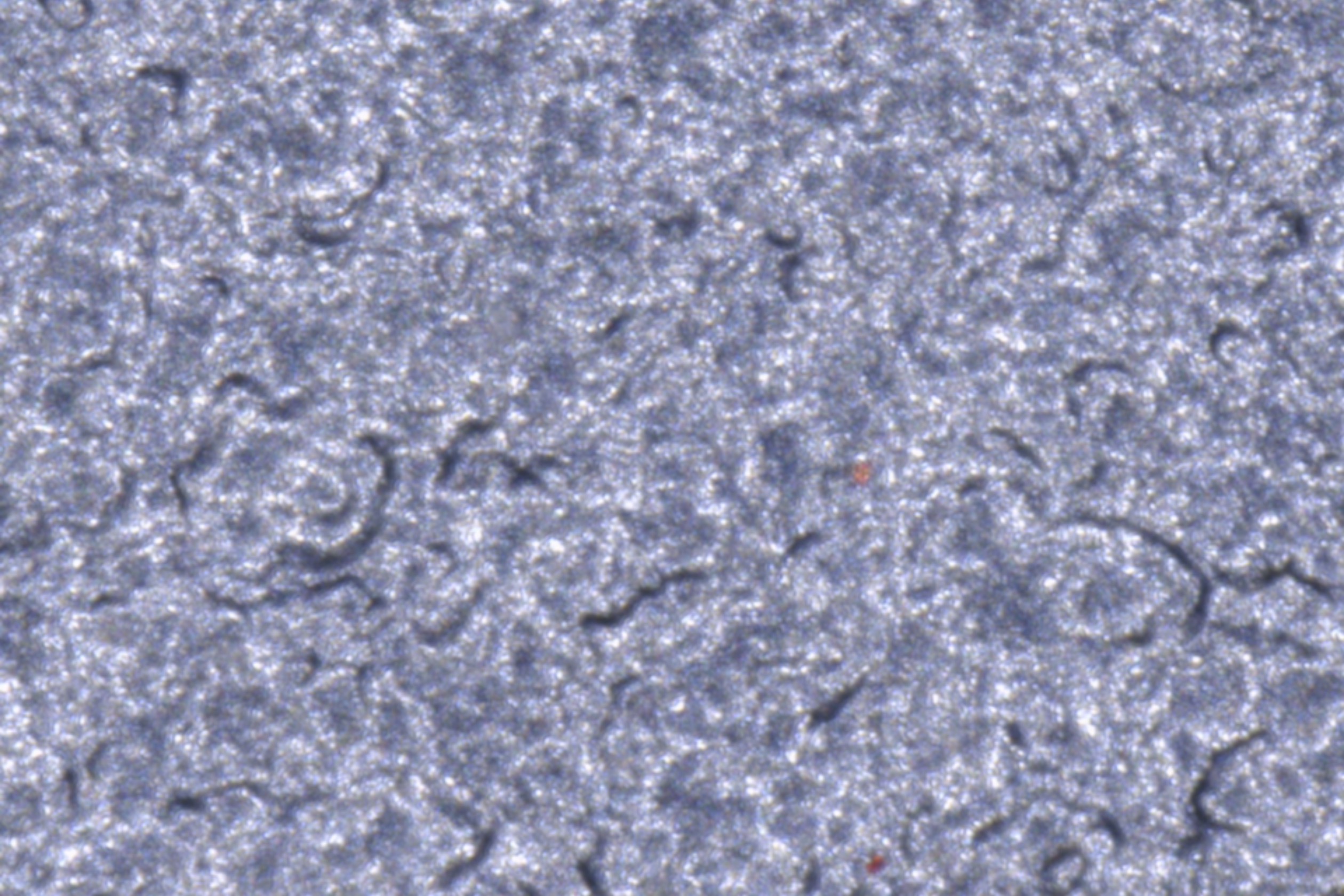Recovered image 10