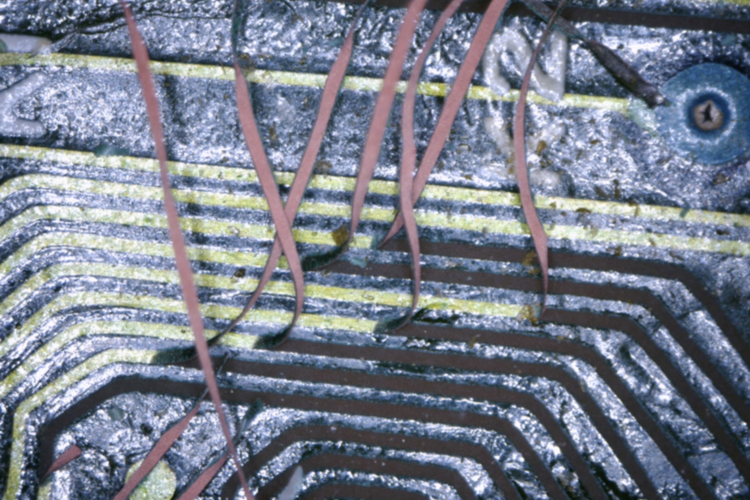 Recovered image 15