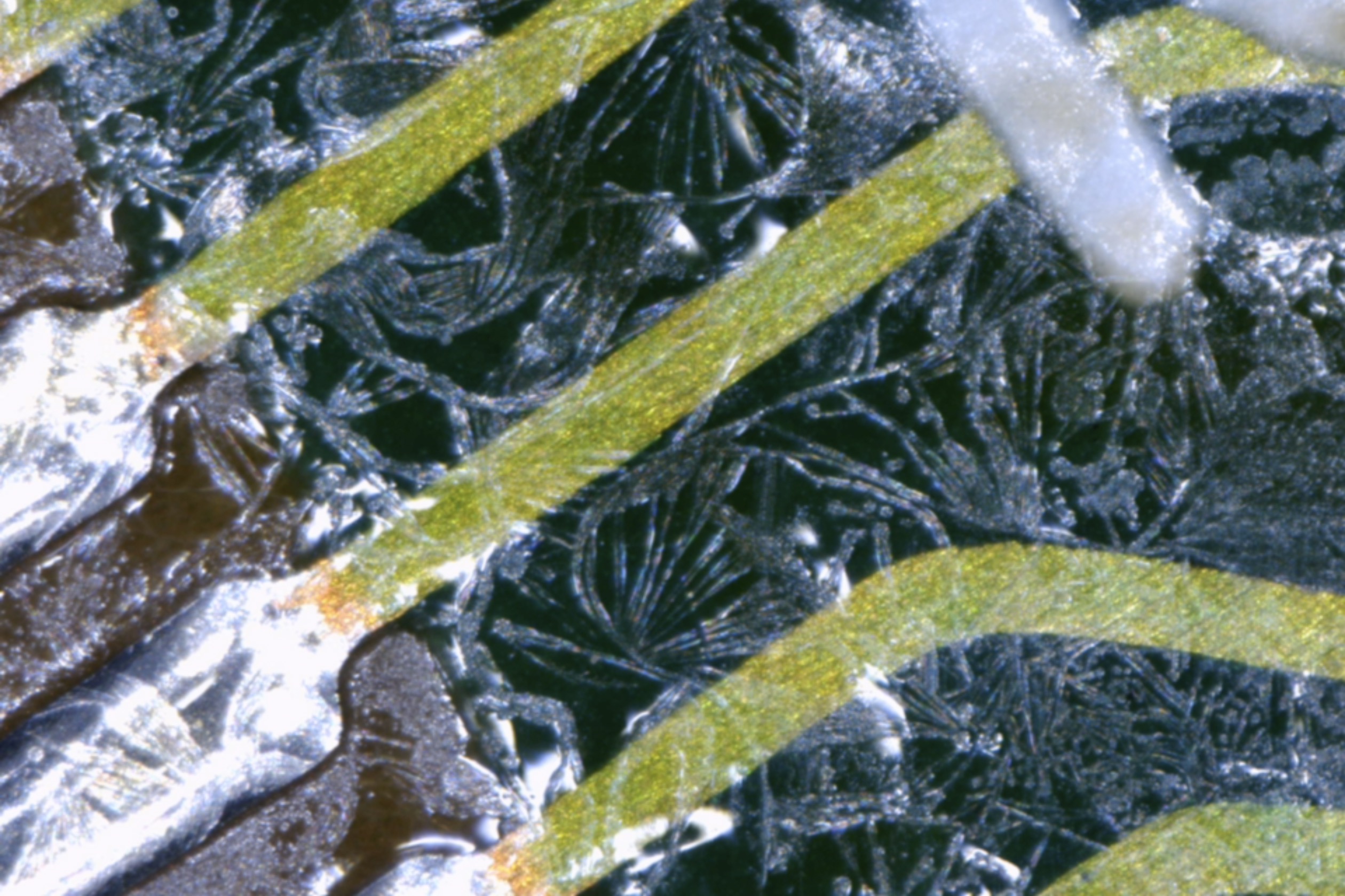 Recovered image 4