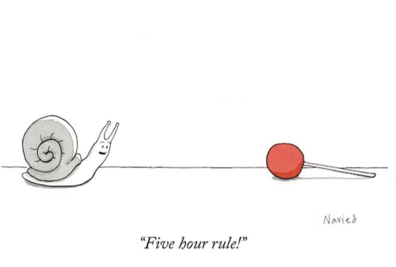 Snail 5 hour rule